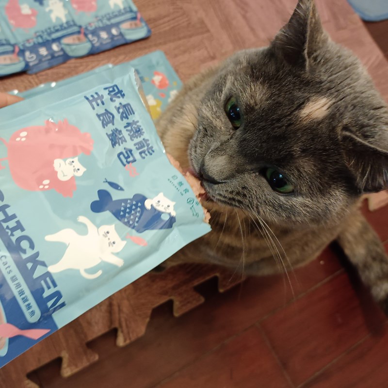 女人知己試用大隊,口碑行銷,部落客行銷,自然食 成長機能主食餐包,自然食,成長機能狗狗主食餐包,成長機能貓咪主食餐包,滿足毛孩最單純的幸福,人食等級食材,開封即食,綿密的肉泥狀質地,好吸收,無膠類,無色素,無防腐劑的添,維持腸道健康,添加DHA/靈芝多醣體,使用高優質蛋白,適口性佳,狗狗口味,犬用營養火雞,犬用嫩雞牛肉,貓咪口味,貓用營養嫩雞,貓用嫩雞鮪魚